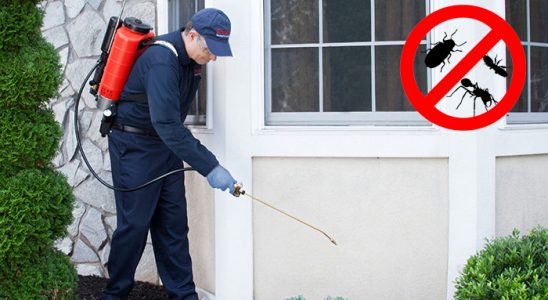 Lapseki Kemirgen İlaçlama böcek ilaçlama ve haşere kontrolü — ilaclama-tr.com